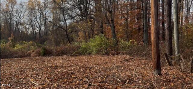 1030 North Paperville Road Bristol, TN 37620 - Photo 8 of 11 IMG_3437