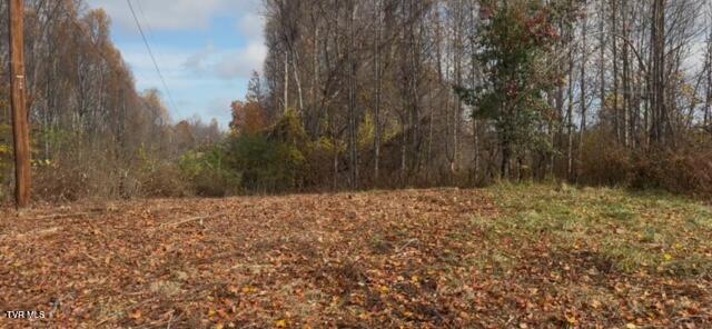 1030 North Paperville Road Bristol, TN 37620 - Photo 9 of 11 IMG_3436