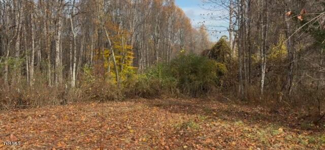 1030 North Paperville Road Bristol, TN 37620 - Photo 10 of 11 IMG_3435