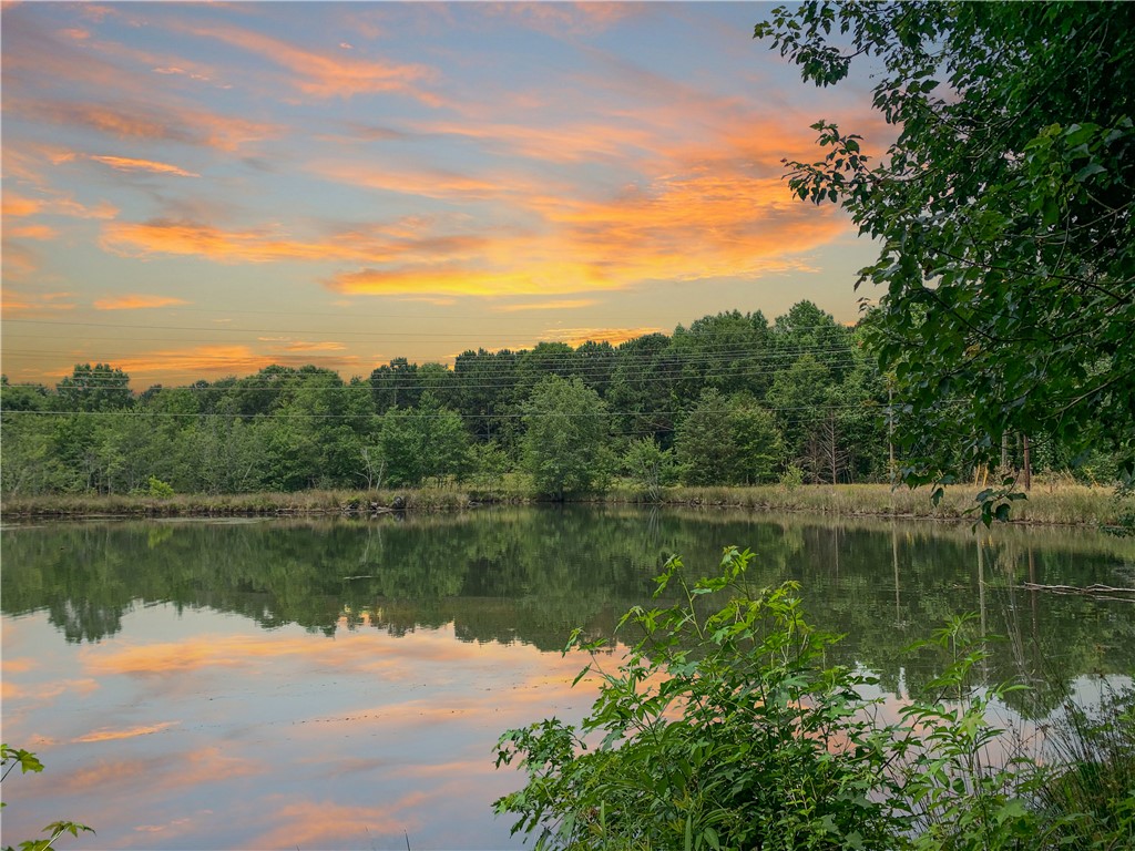 144 Old Asbury Road Anderson, SC 29625 - Photo 6 of 10 Mature trees frame a quiet pond reflecting the colorful sunset sky.