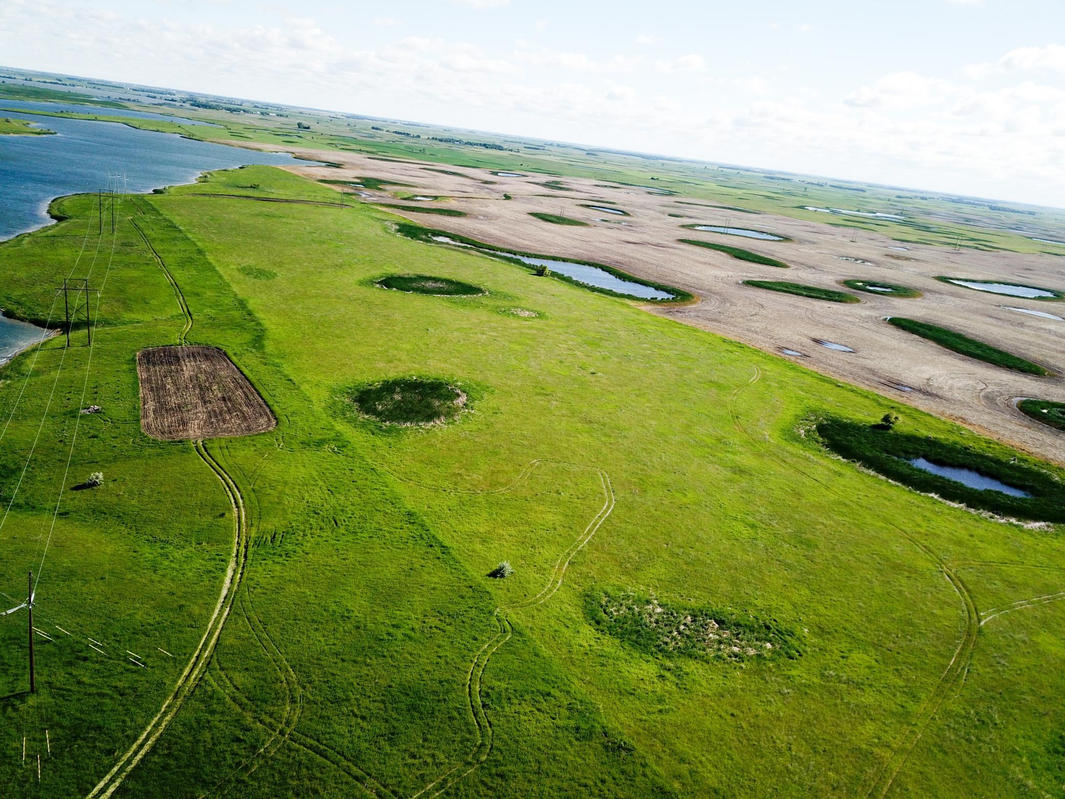Tbd Southeast Tbd Se 90th Street Rutland, ND 58067 - Photo 50 of 105