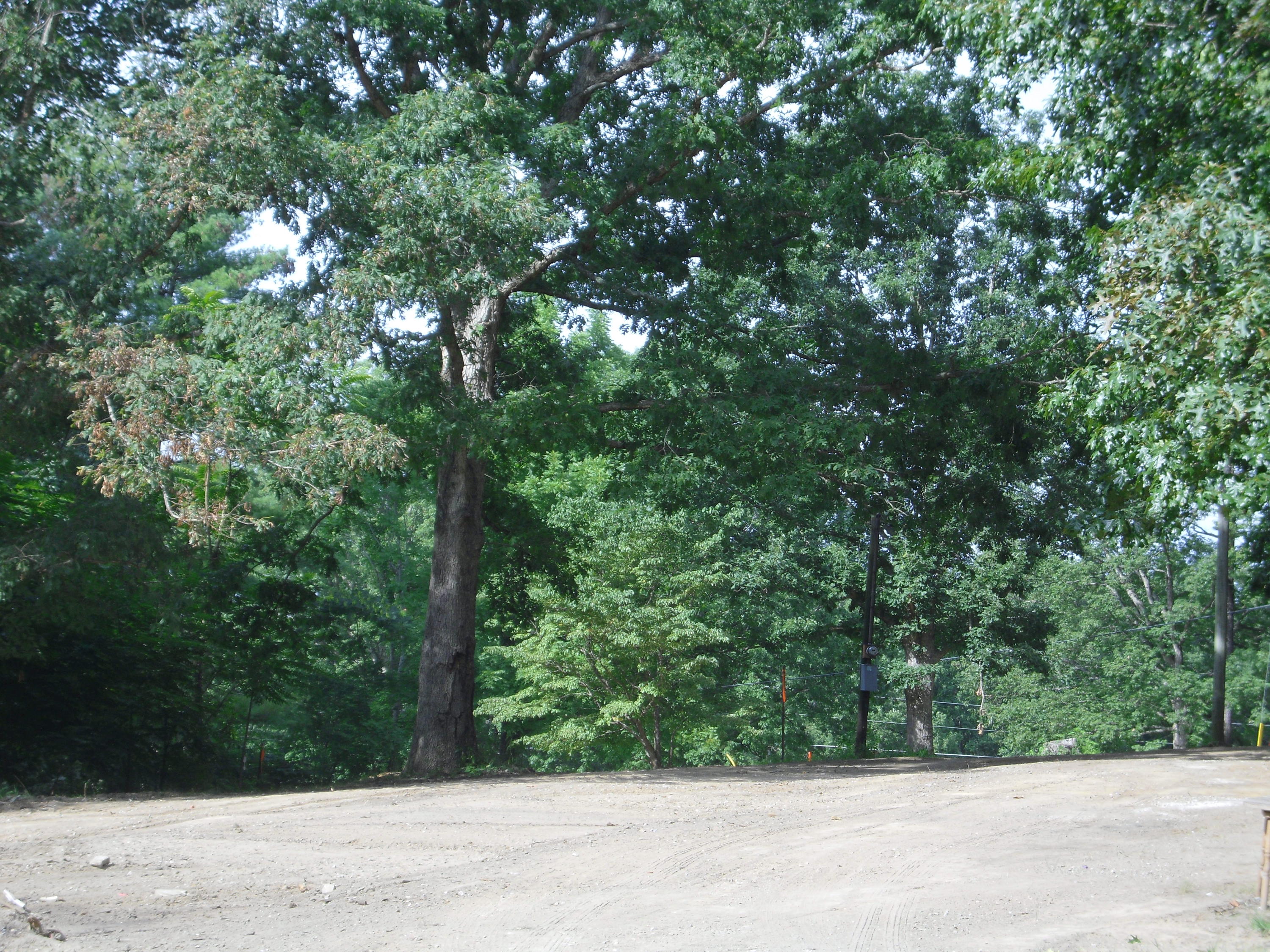Ike Rich Road Jamestown, TN 38556 - Photo 2 of 3 SAM_2636
