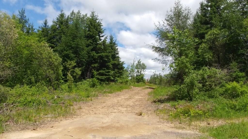 Off Jackins Settlement Road Orient, ME 04471 - Photo 3 of 25 Photo