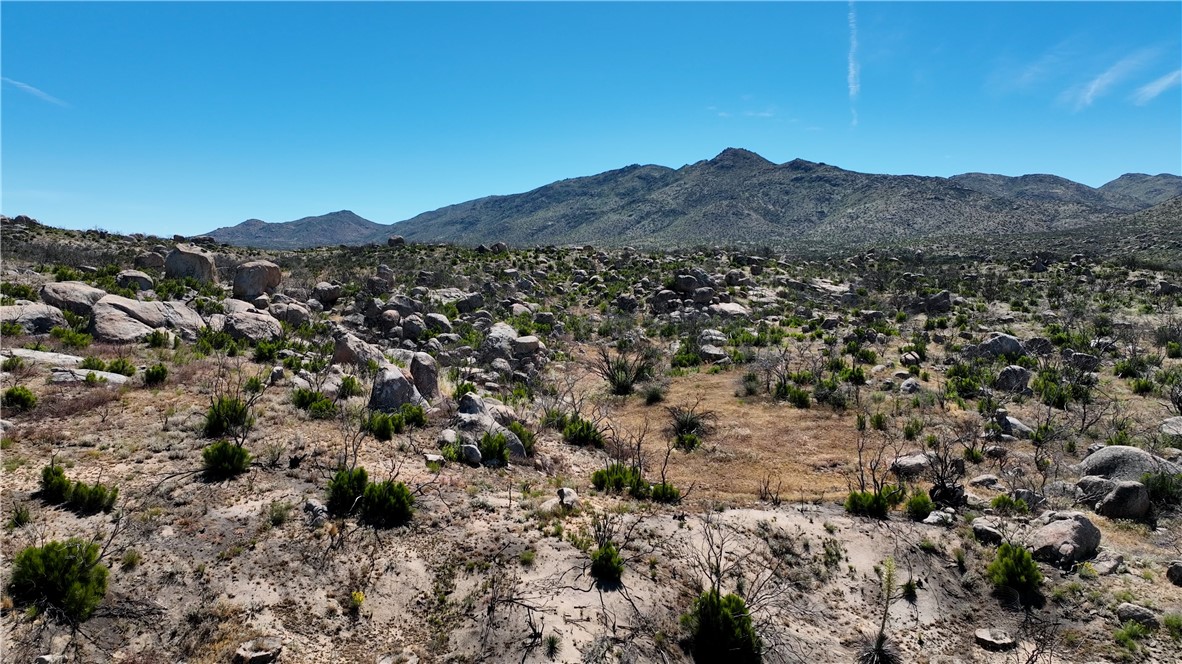 1 Tule Peak Road Aguanga, CA 92536 - Photo 12 of 28 a view of a large tree