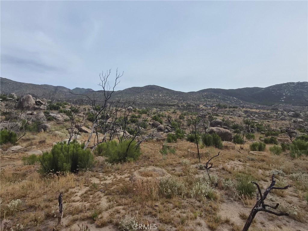 1 Tule Peak Road Aguanga, CA 92536 - Photo 20 of 28 a view of a mountain in the distance in a field