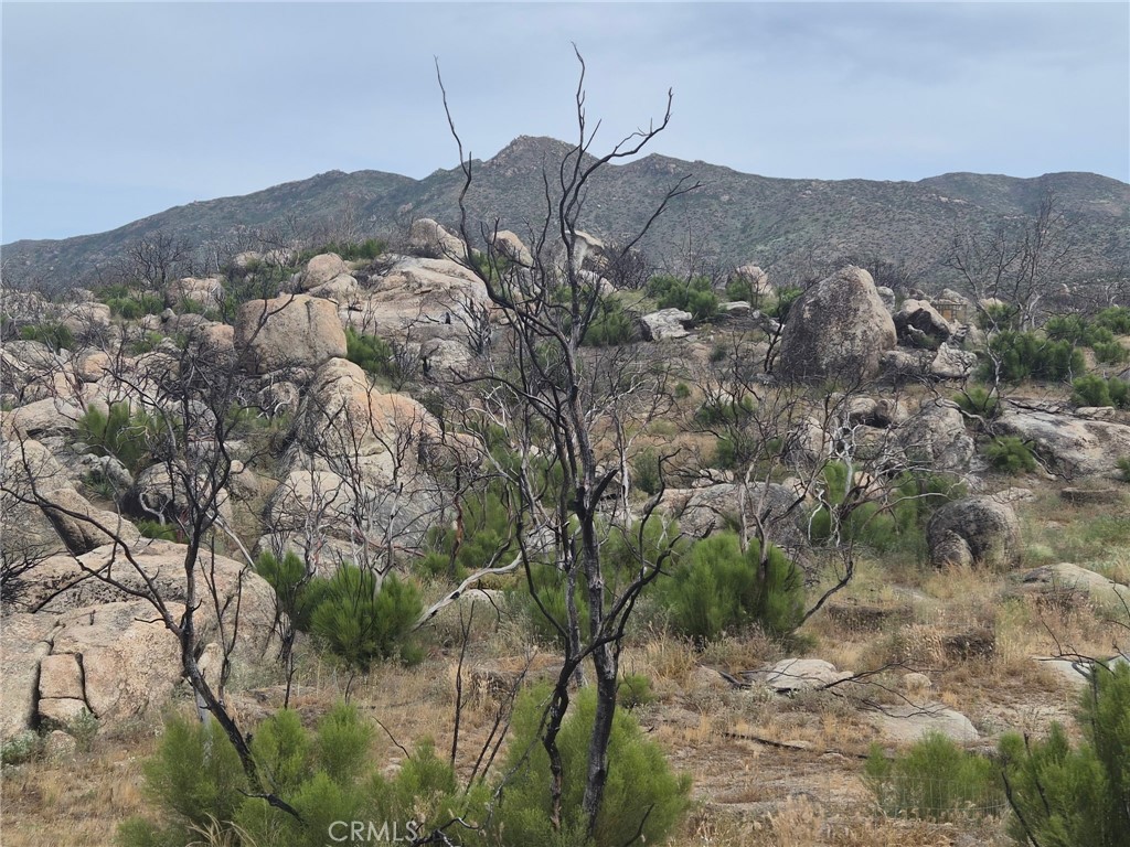 1 Tule Peak Road Aguanga, CA 92536 - Photo 21 of 28 a view of a dry yard with mountains in the background
