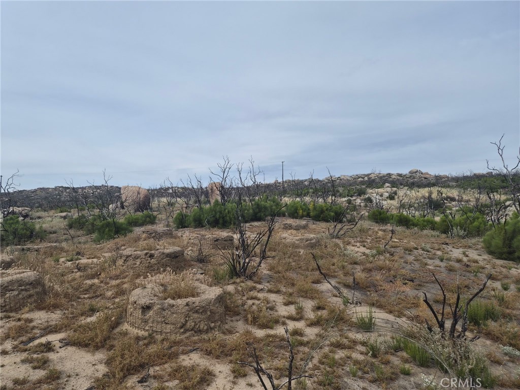1 Tule Peak Road Aguanga, CA 92536 - Photo 22 of 28 a view of a dry yard with trees