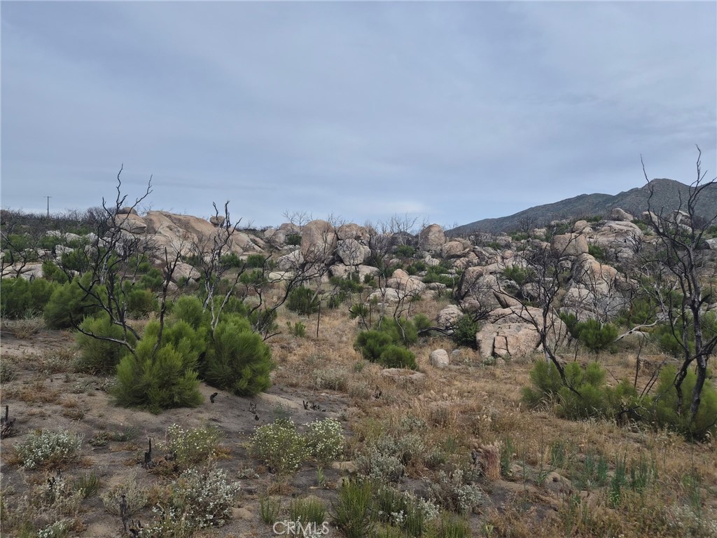 1 Tule Peak Road Aguanga, CA 92536 - Photo 23 of 28 a view of a dry yard with trees in the background