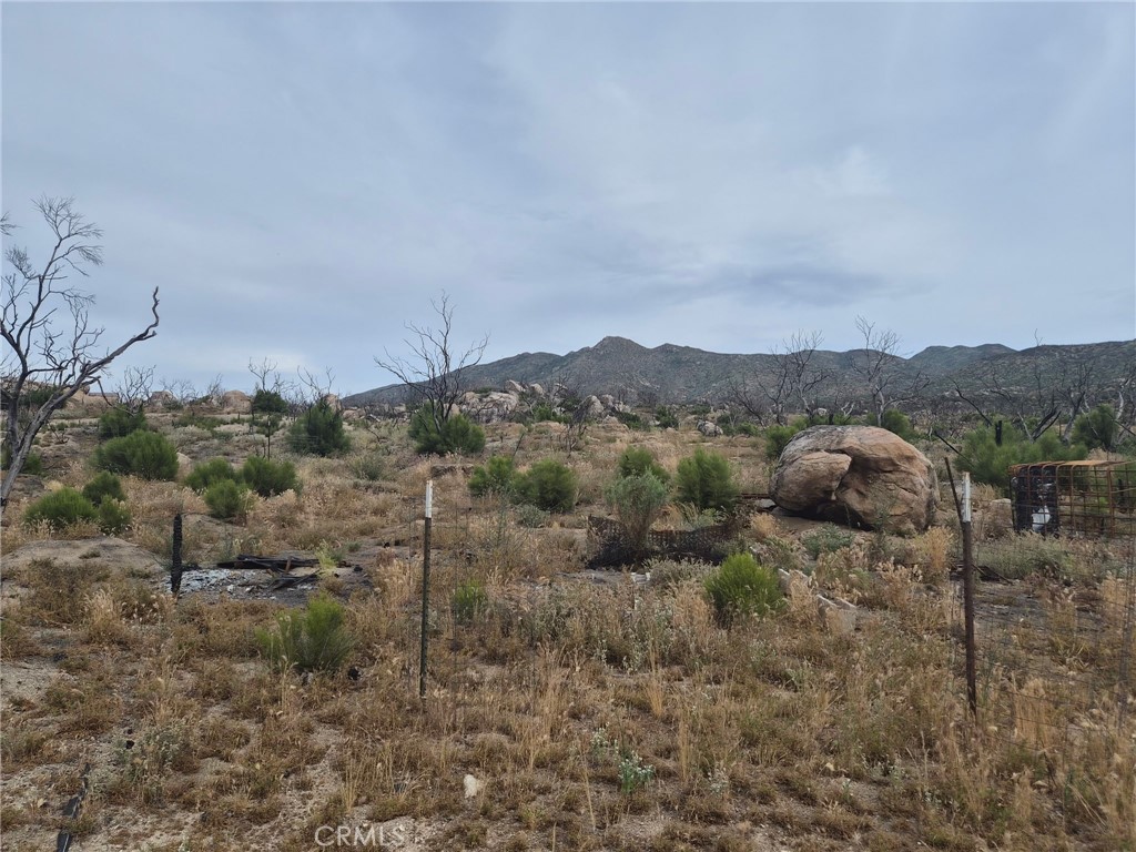 1 Tule Peak Road Aguanga, CA 92536 - Photo 24 of 28 a view of an outdoor space with mountain view