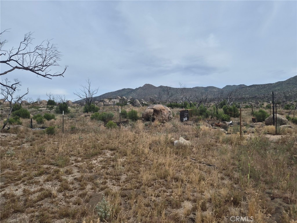 1 Tule Peak Road Aguanga, CA 92536 - Photo 25 of 28 a view of a bunch of trees in a field