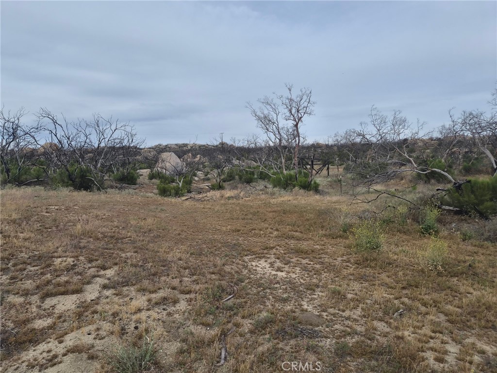 1 Tule Peak Road Aguanga, CA 92536 - Photo 27 of 28 a view of a field with trees in background