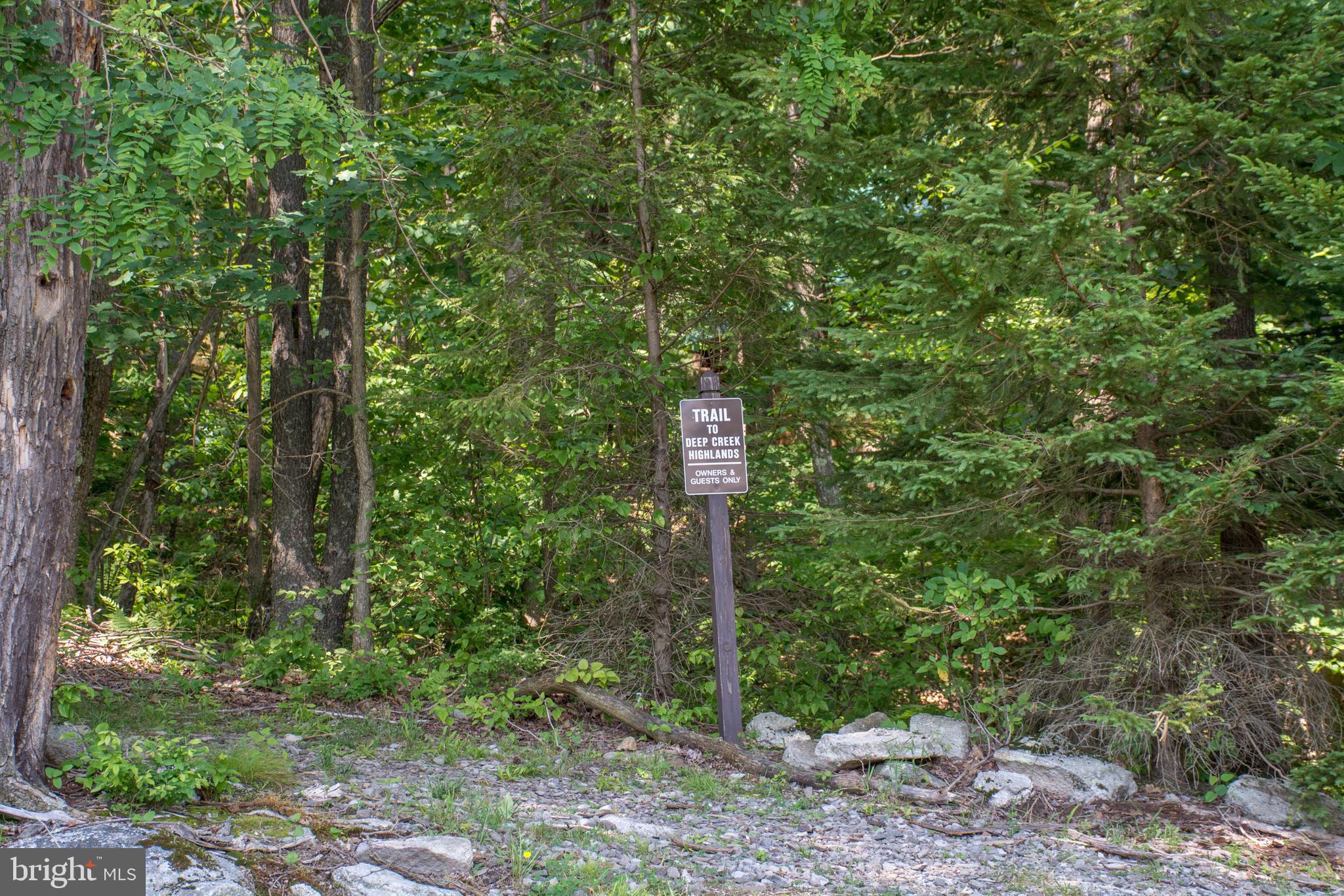 97 Mountaintop Road McHenry, MD 21541 - Photo 23 of 45 Gallery Image 23