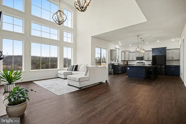 a living room with furniture and a potted plant with wooden floor