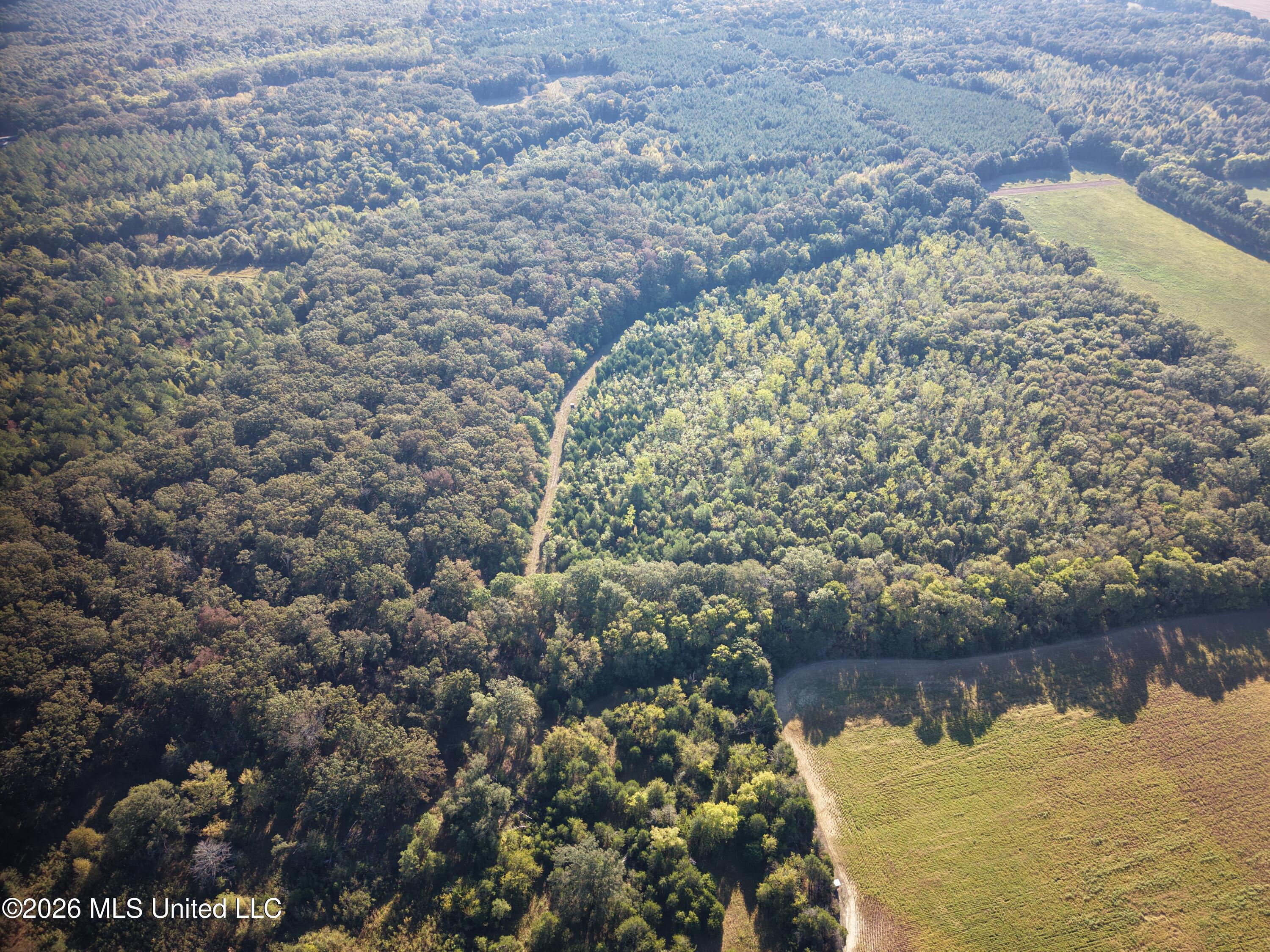 Mcallister Road Aberdeen, MS 39730 - Photo 14 of 18 dji_fly_20260930_090250_0017_17907772685