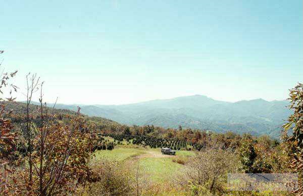 Lot 5 The Pinnacle Boone, NC 28607 - Photo 1 of 1 Gallery Image 1