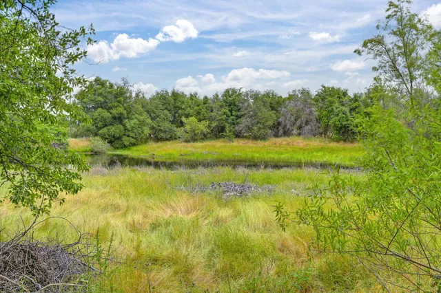 a view of outdoor space and yard