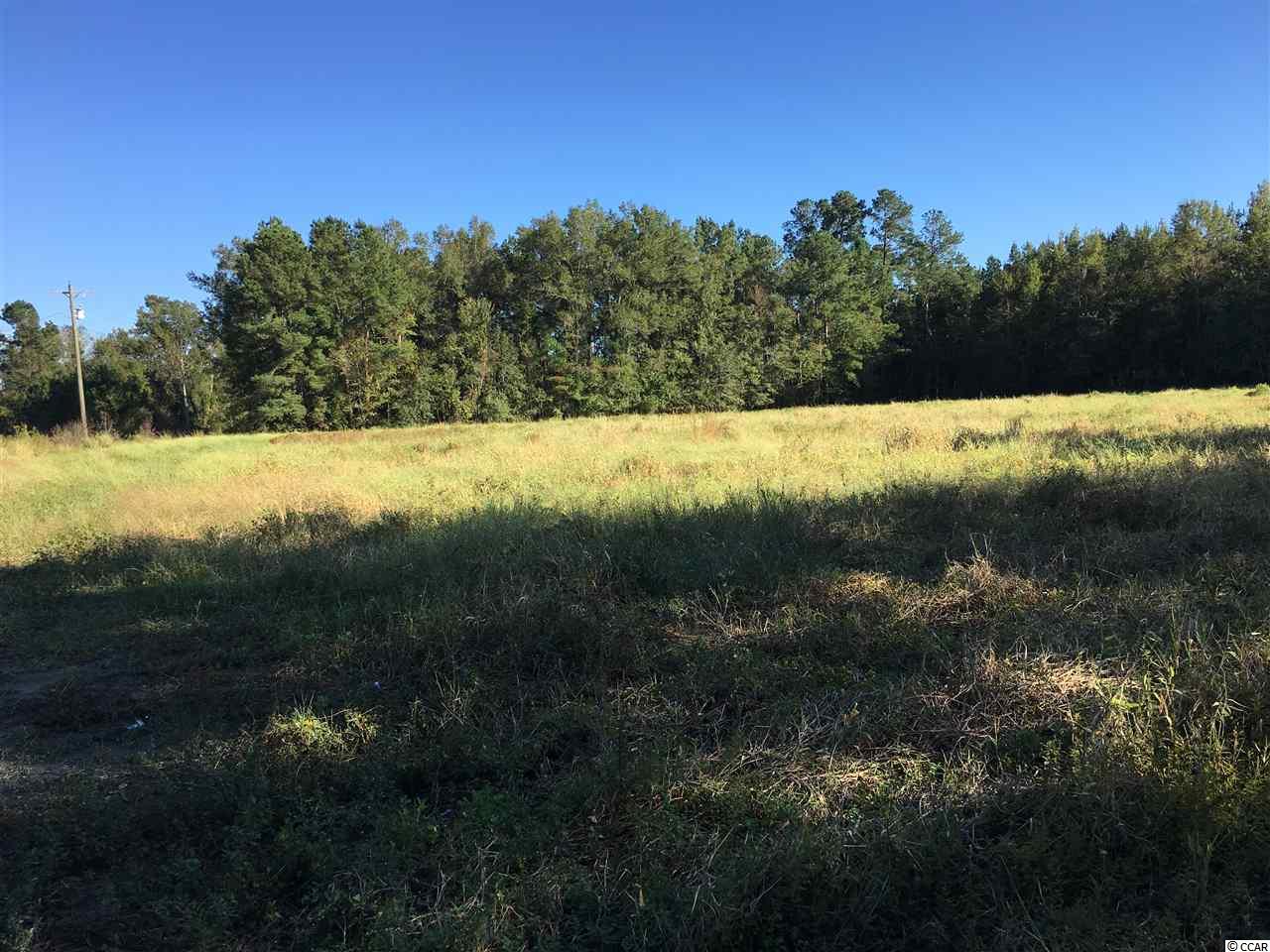 651 South Deerfield Road Johnsonville, SC 29555 - Photo 1 of 5 Gallery Image 1