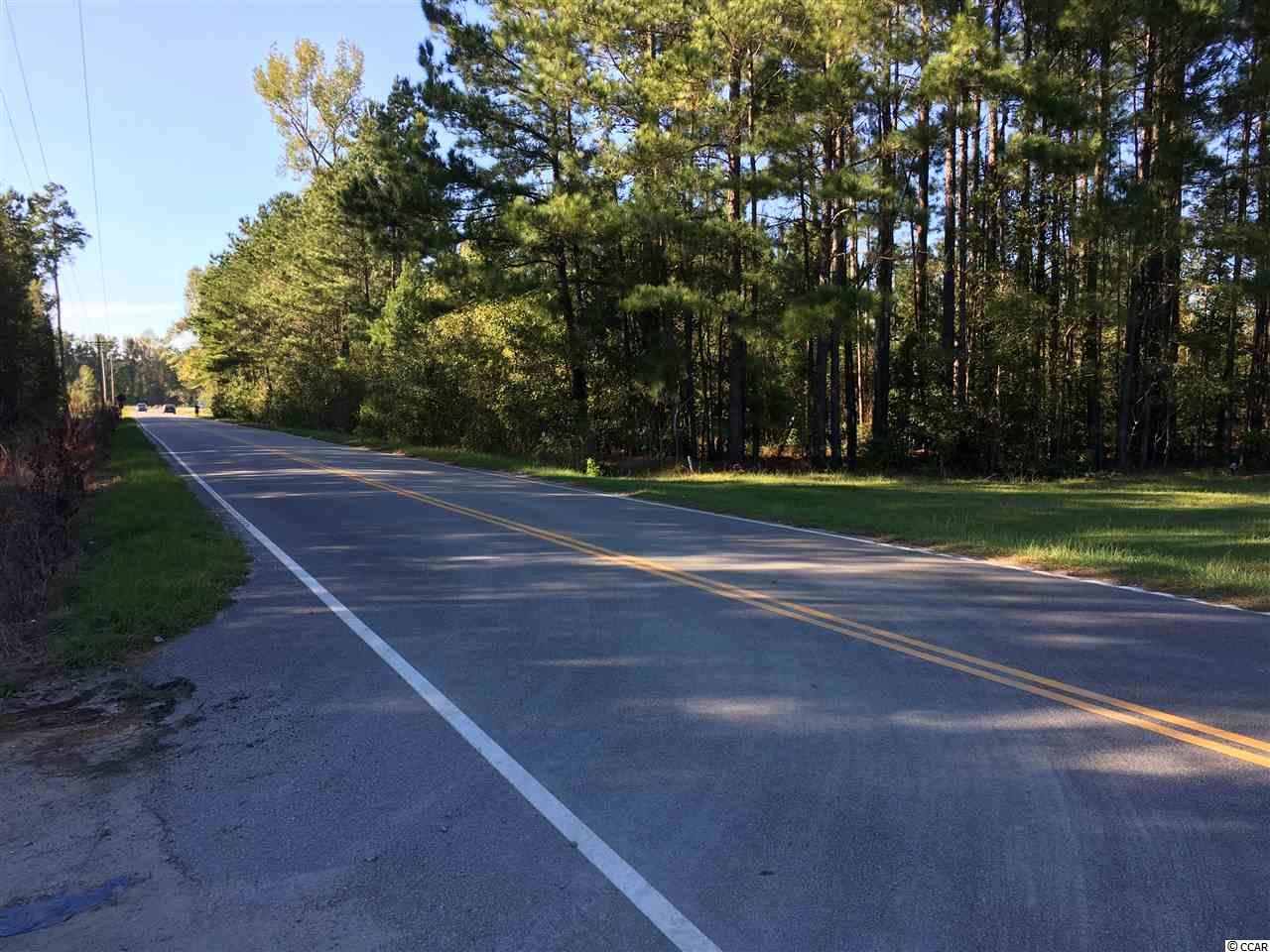 651 South Deerfield Road Johnsonville, SC 29555 - Photo 2 of 5 Gallery Image 2
