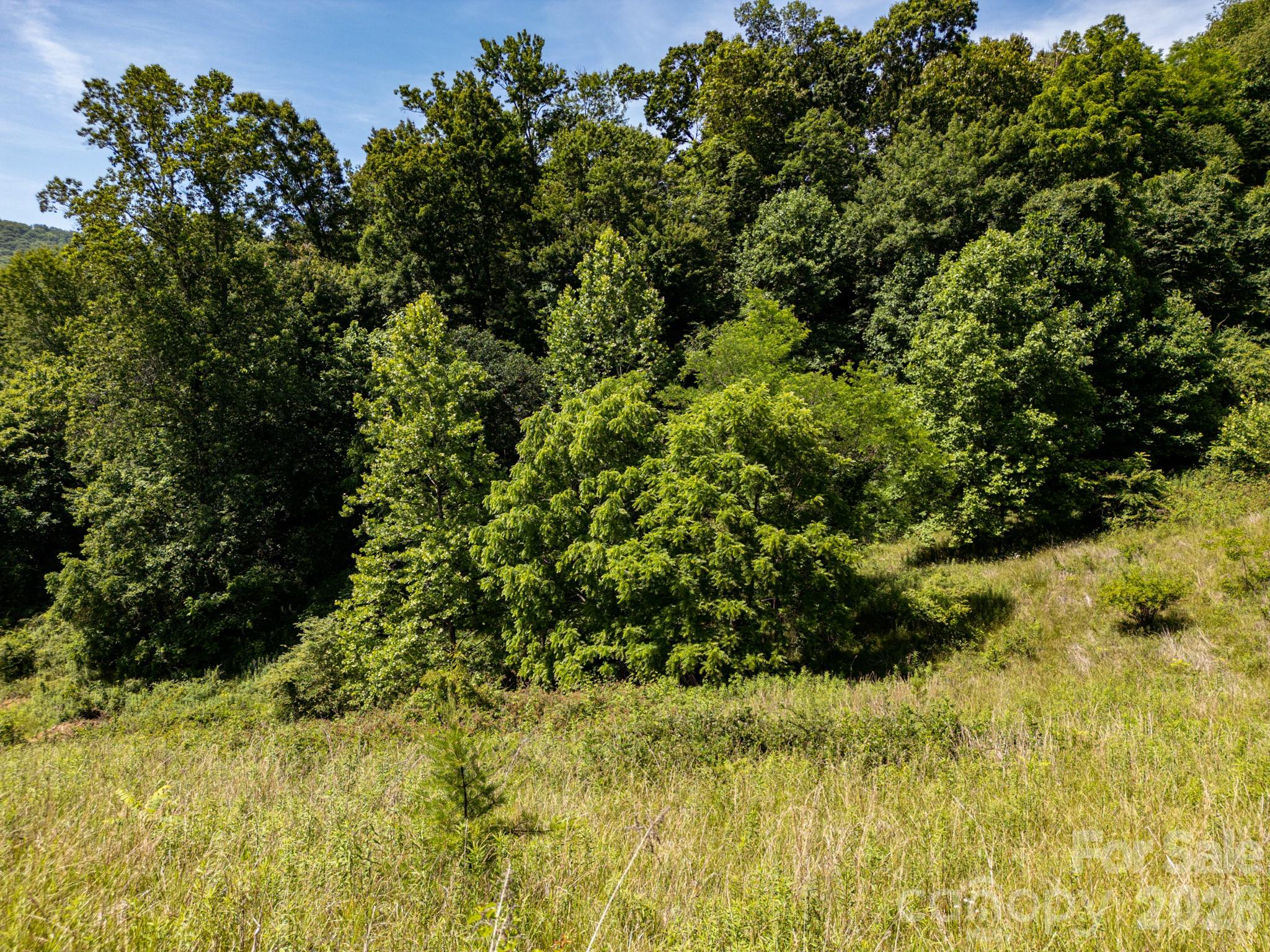 999 Murphy Cove Road Candler, NC 28715 - Photo 26 of 48