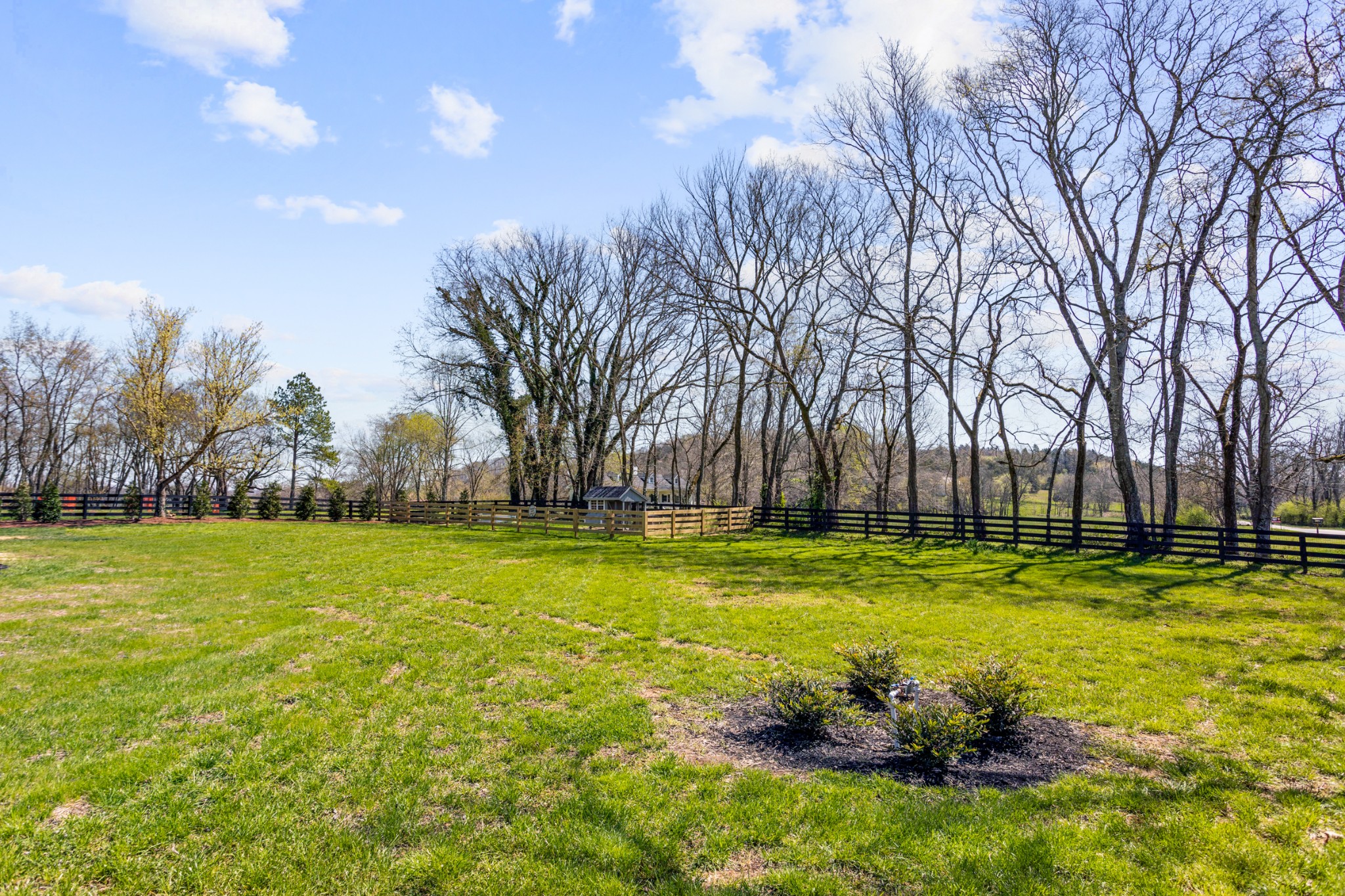 3330 Bailey Road Franklin, TN 37064 - Photo 36 of 37 a yard with trees in the background
