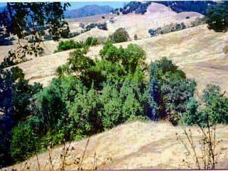 7540 Pine Flat Road Healdsburg, CA 95448 - Photo 1 of 2 Gallery Image 1
