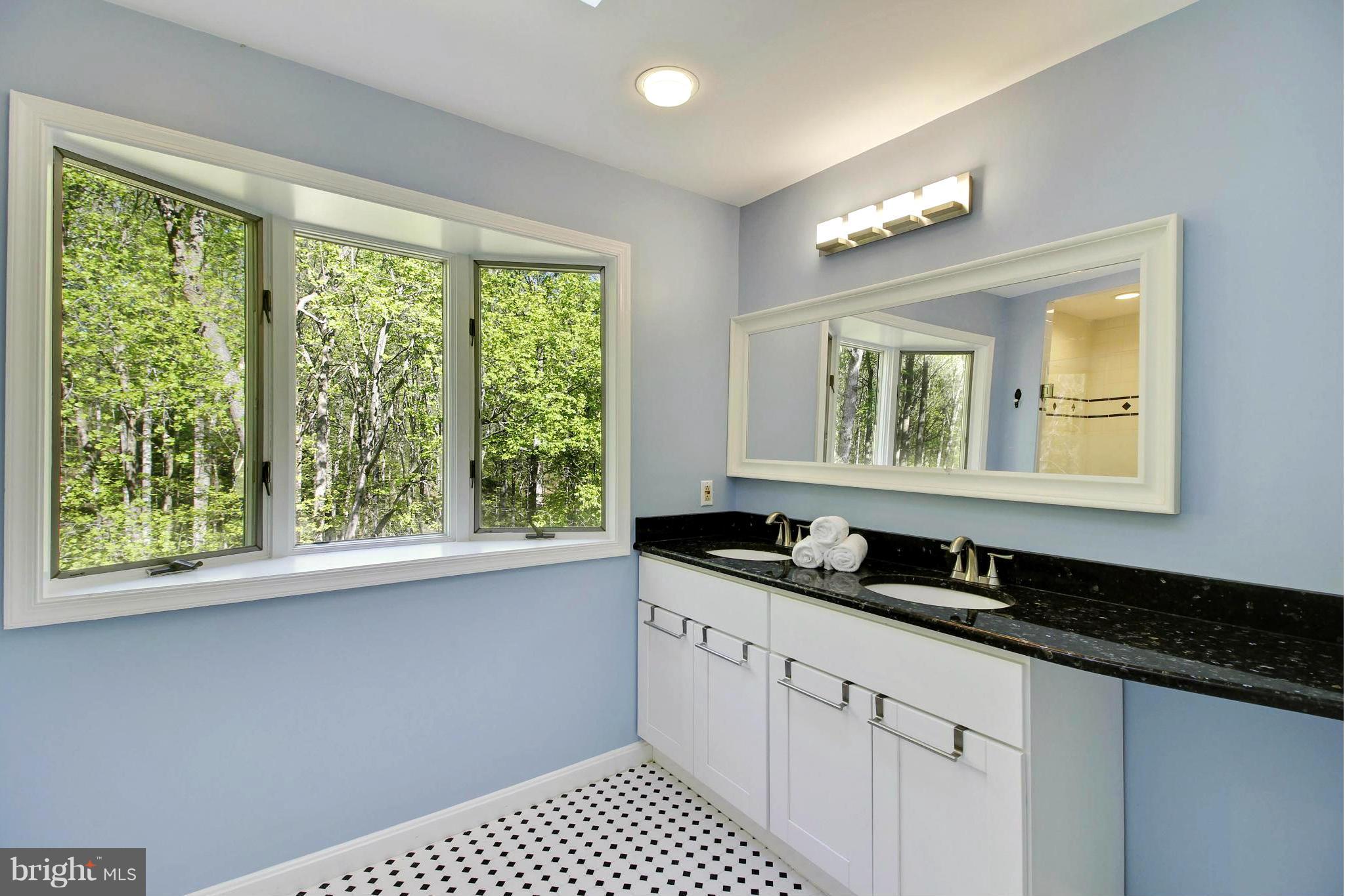 18630 Mink Hollow Road Ashton, MD 20861 - Photo 21 of 30 Bath (Master)
