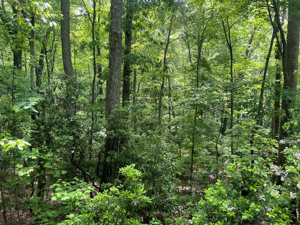 Lot 35 Mission Ridge Hayesville, NC 28904 - Photo 12 of 15