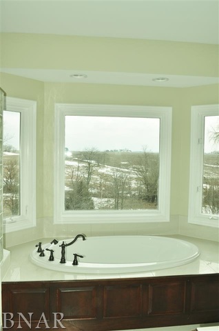 21192 North 500th Road East Benson, IL 61516 - Photo 21 of 30 a bathroom with a bathtub and a sink