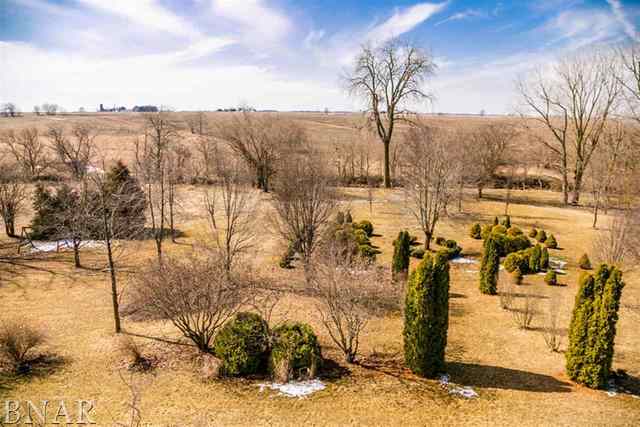 21192 North 500th Road East Benson, IL 61516 - Photo 27 of 30 a picture of trees