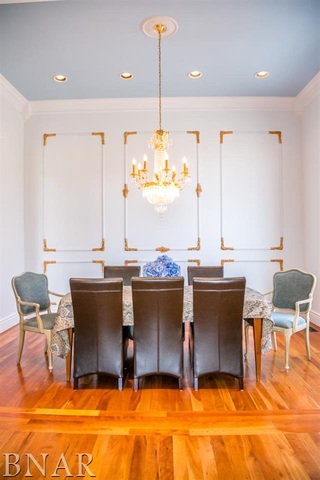 21192 North 500th Road East Benson, IL 61516 - Photo 9 of 30 a view of a dining room with furniture a chandelier and wooden floor