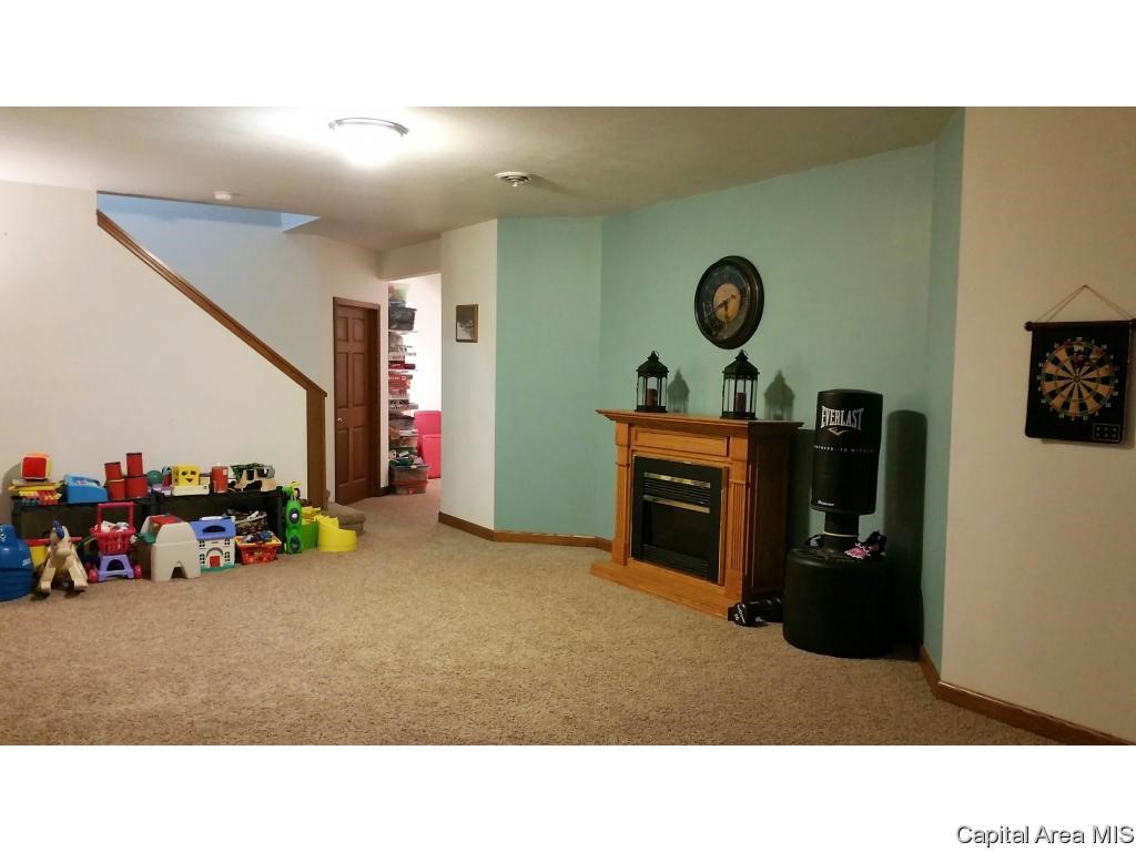 6115 Lovejoy Road Rochester, IL 62563 - Photo 24 of 33 Gallery Image 24