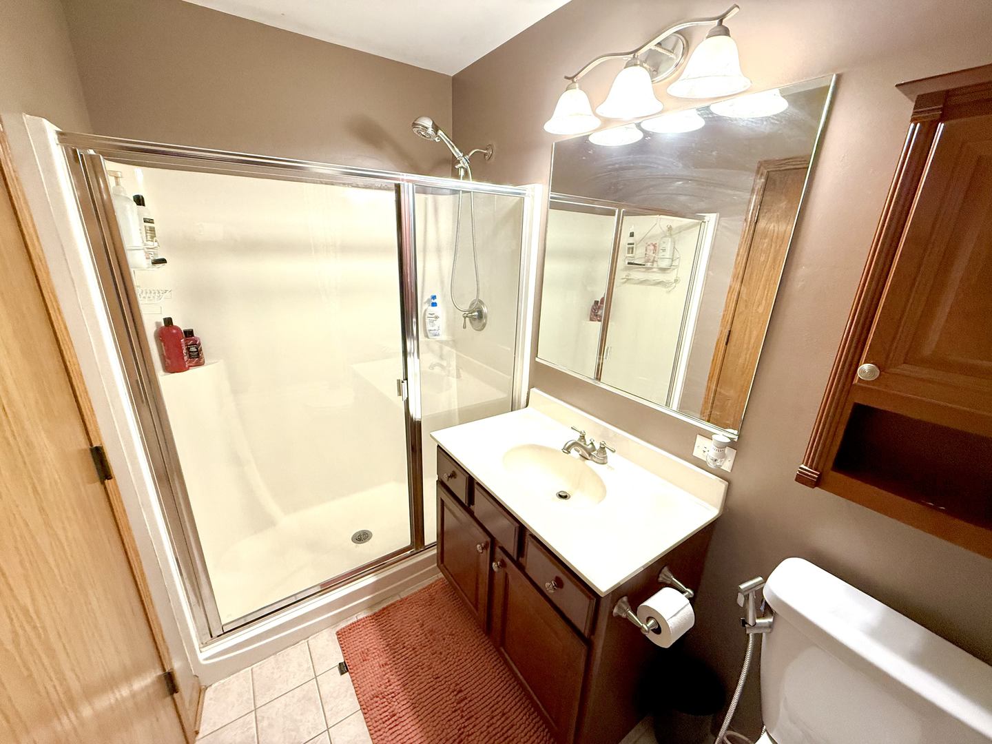 520 Maggie Lane Romeoville, IL 60446 - Photo 15 of 31 Gallery Image 15