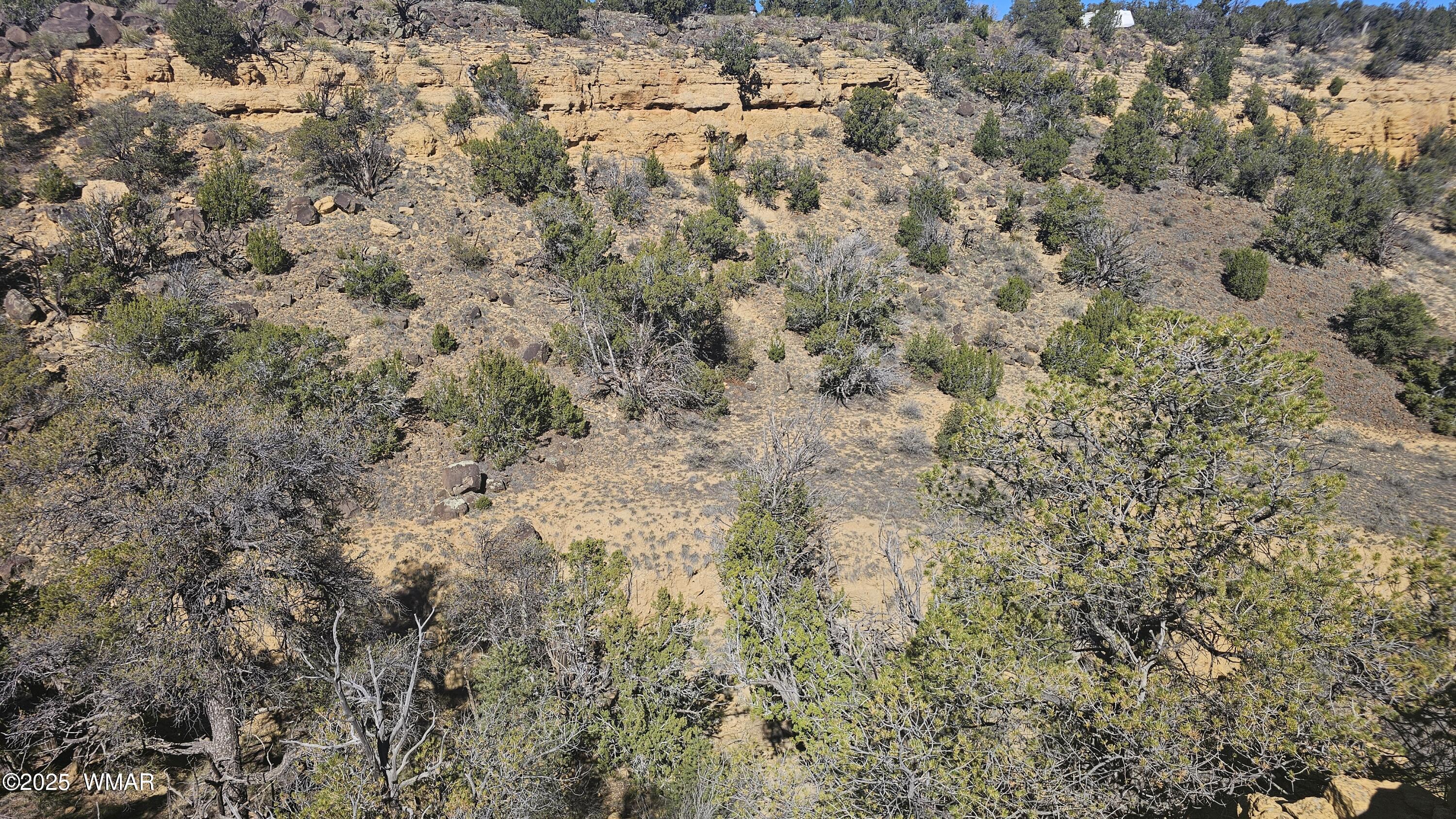 4 County Road Concho, AZ 85924 - Photo 15 of 28