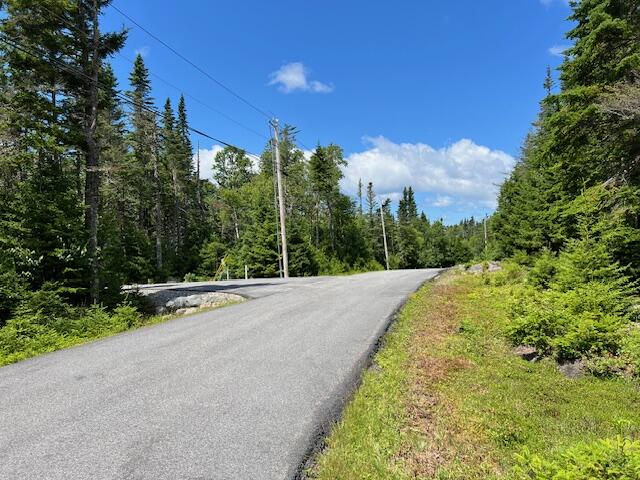31 Yoho Head Road Machiasport, ME 04655 - Photo 4 of 21 IMG_8564