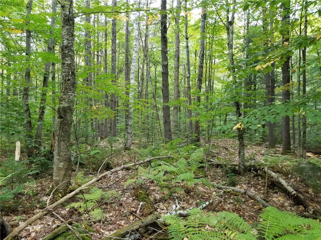 0 Brock School Road Buckfield, ME 04220 - Photo 2 of 19 Photo