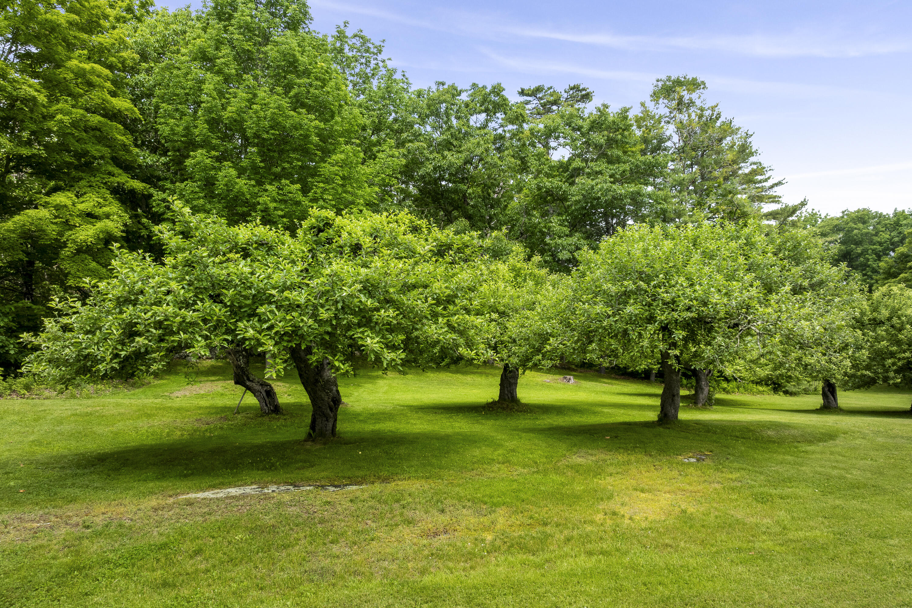 128 Ridge Road Newcastle, ME 04553 - Photo 45 of 49 49-128 Ridge Rd, Newcastle, ME-TP