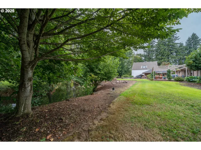 a view of a big yard with large trees