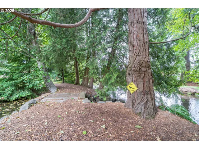a view of a yard with large trees
