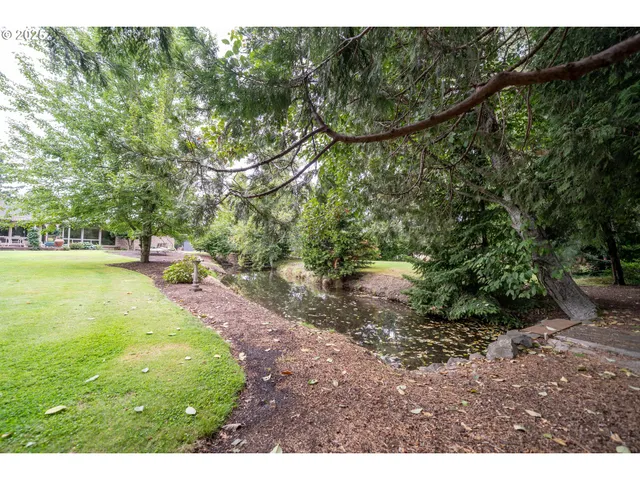 a view of a park with large trees