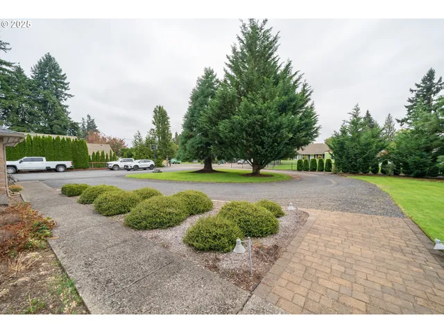 a view of a park with large trees