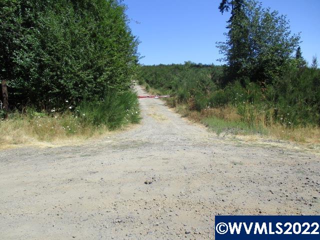0 Timber (east) Road Forest Grove, OR 97116 - Photo 7 of 9