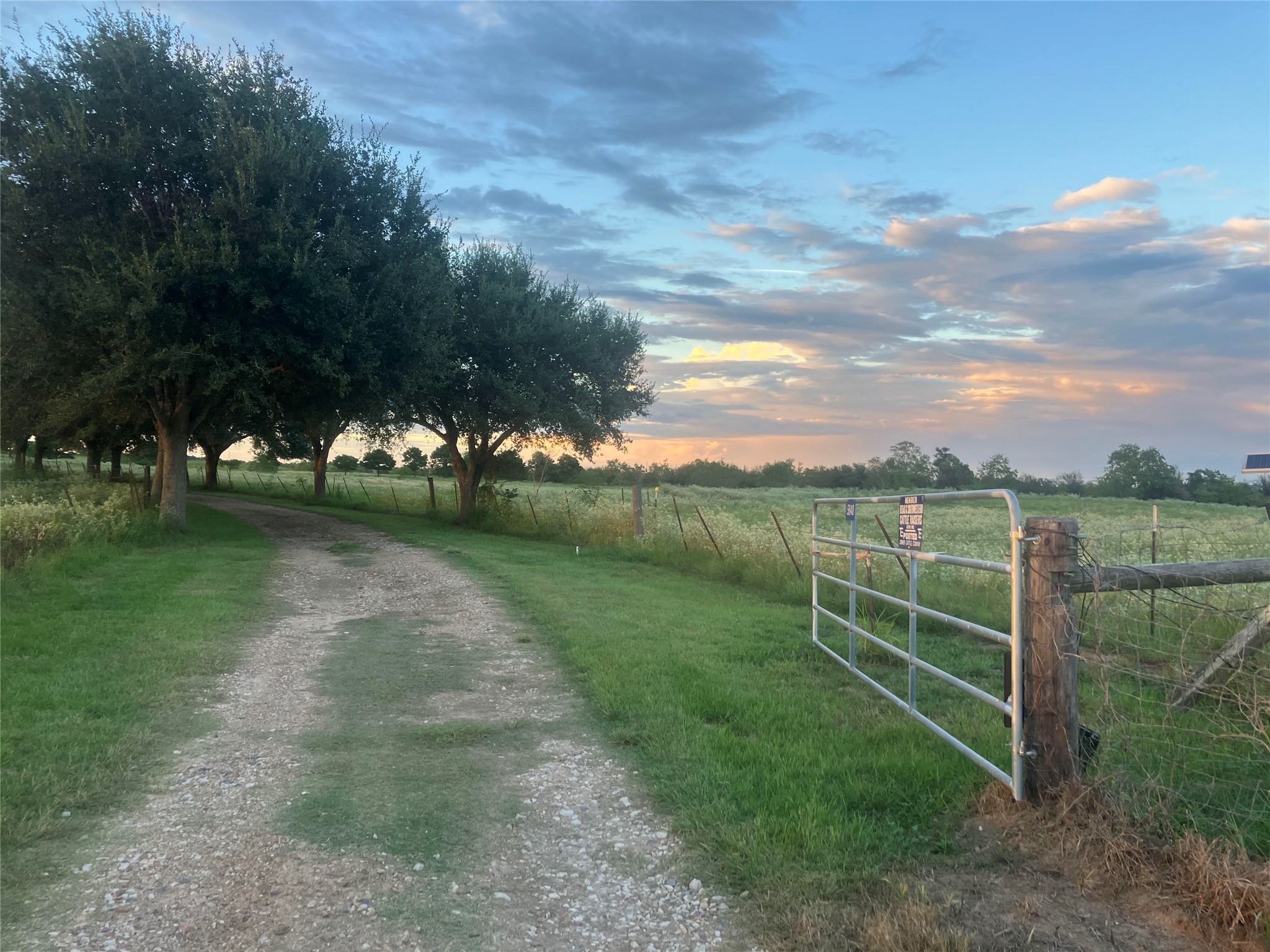 5848 Mieth Road Sealy, TX 77474 - Photo 22 of 25