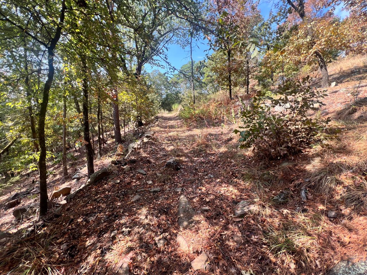 1097 Flagpole Road Clayton, OK 74536 - Photo 26 of 32 Wooded terrain featuring mature trees and natural ground cover