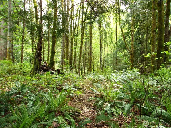 a view of outdoor space and garden