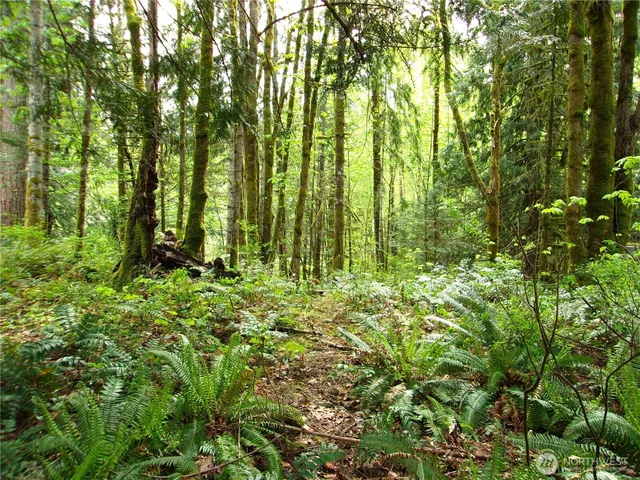 $50,000 | 0 River Road, Brinnon, WA 98320