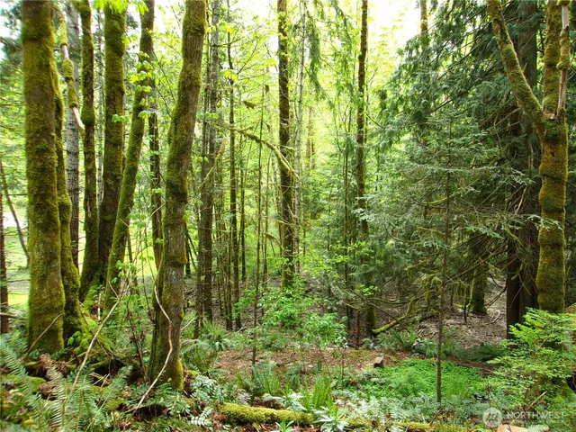 $50,000 | 0 River Road, Brinnon, WA 98320