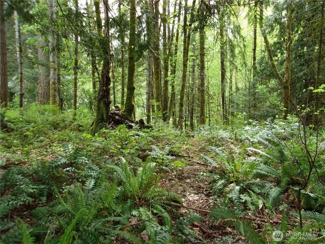 $50,000 | 0 River Road, Brinnon, WA 98320