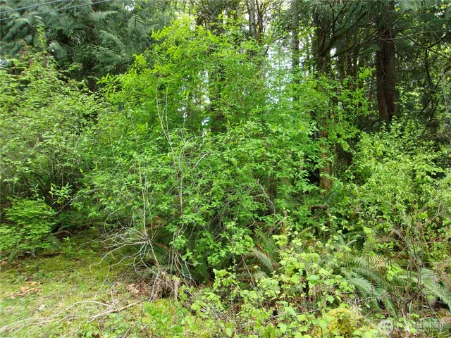 $50,000 | 0 River Road, Brinnon, WA 98320