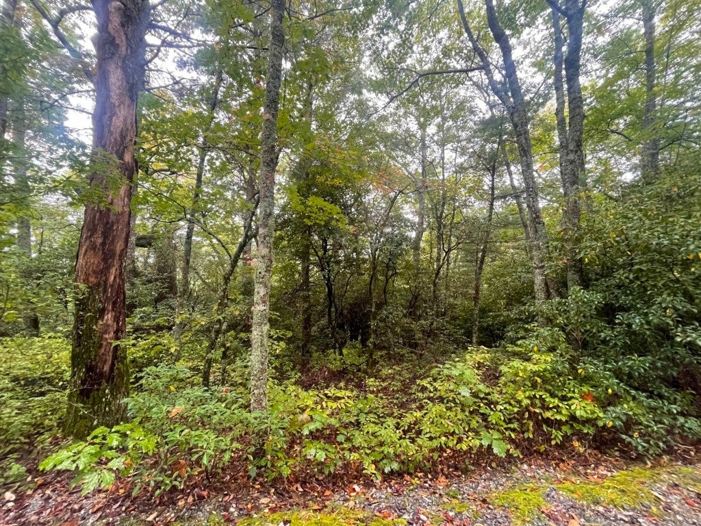 Lot 22 Eastern Summit Road Cashiers, NC 28717 - Photo 11 of 11 Street View