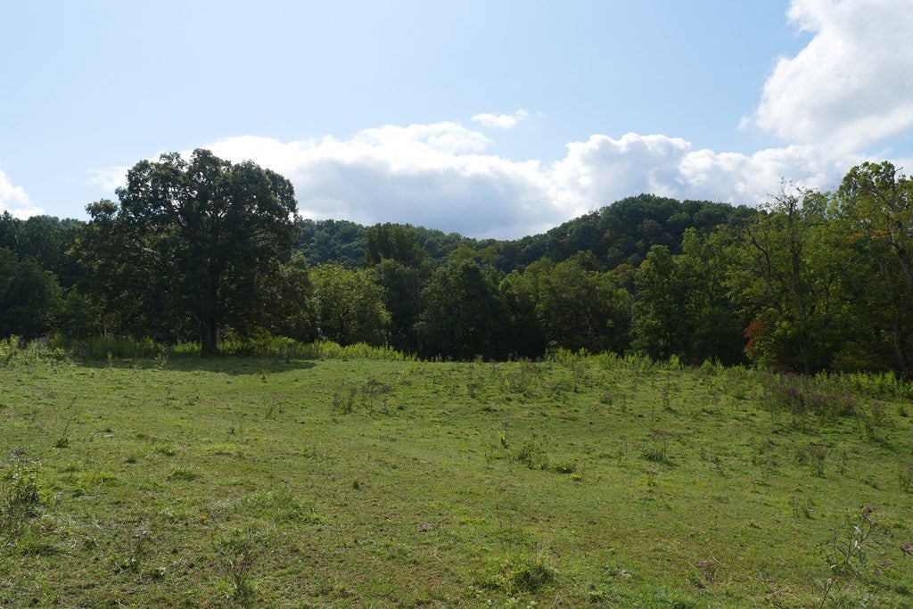 Tbd South Fork River Road Glade Spring, VA 24340 - Photo 22 of 25 Gallery Image 22